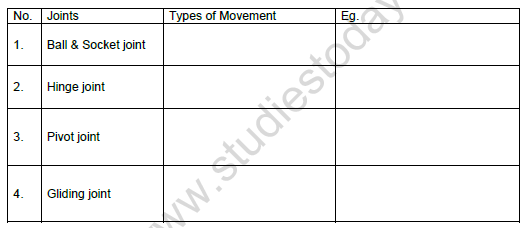CBSE Class 6 Science Body Movements Worksheet Set A